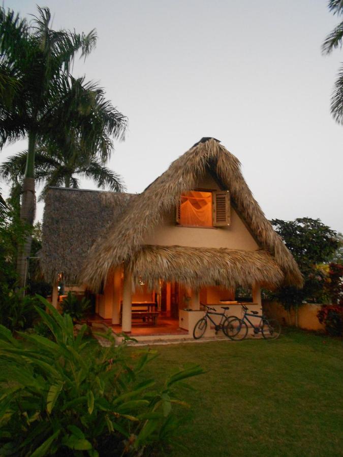 Palm-Covered House In The Tropical -Casa Oli Las Galeras Exteriör bild