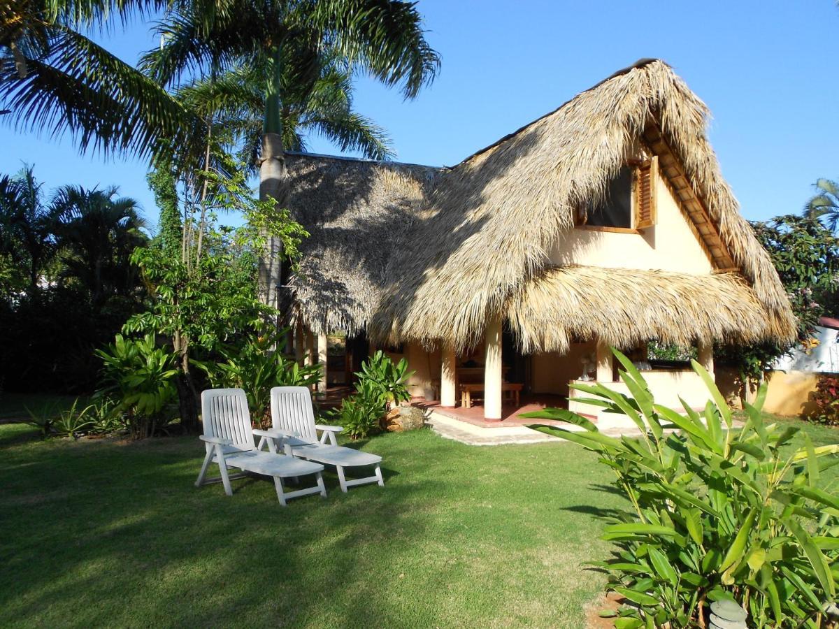 Palm-Covered House In The Tropical -Casa Oli Las Galeras Exteriör bild